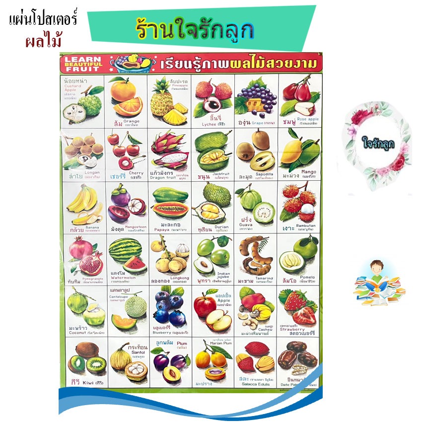 แผ่นโปสเตอร์ผลไม้ไทย เคลือบพลาสติกอย่างดี เจาะรูตาไก่สำหรับแขวน