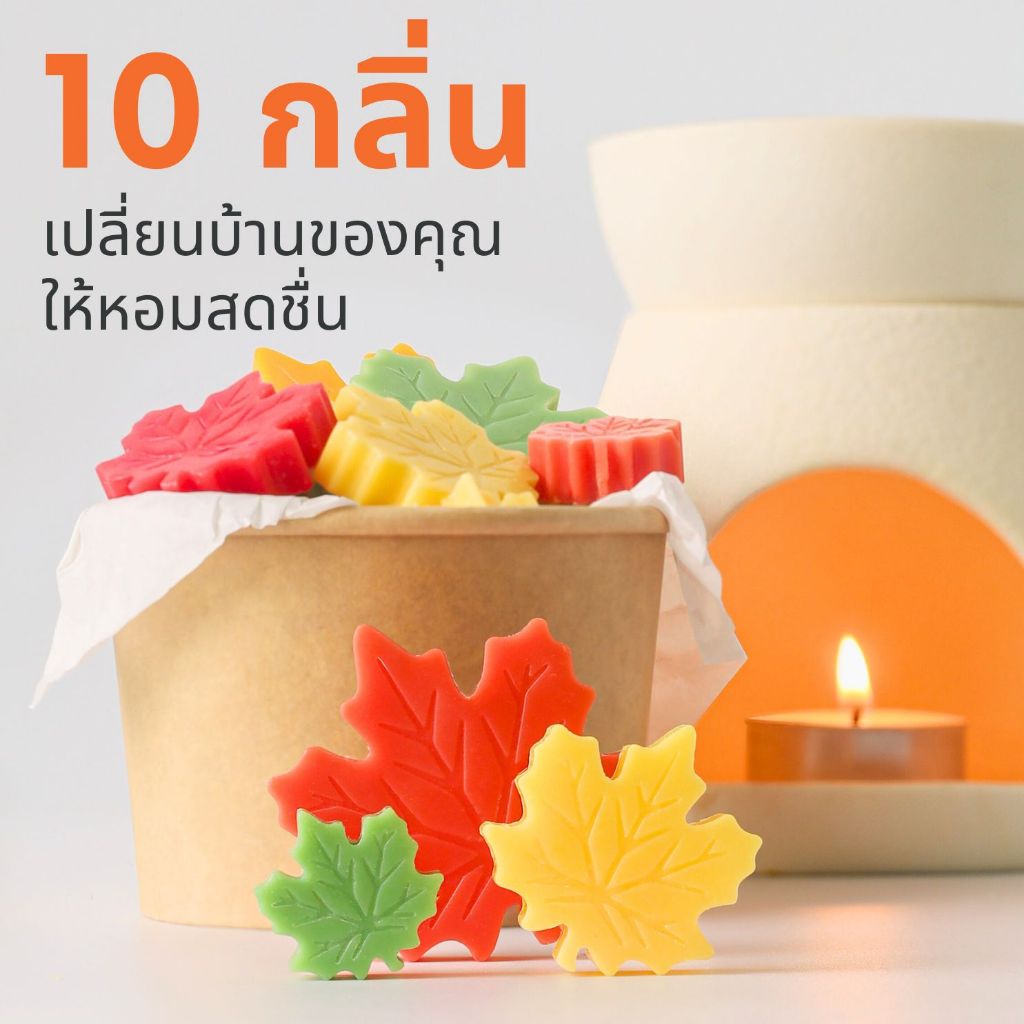 𝗗𝗔𝗟𝗔𝗬𝗟𝗔 𝗪𝗔𝗫 𝗠𝗘𝗟𝗧 เทียนหอมละลาย 10 กลิ่น ขนาด 100 กรัม ใช้กับเตาอโรม่า