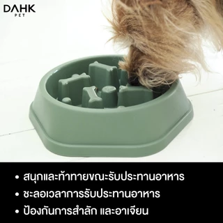 ชามอาหารสุนัขแบบกินช้า Slow Feeder Dog Bowl DAHK Pet