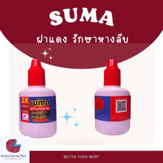 sumaฝาแดง แก้หางลีบ ปลากัดซึม ว่ายไม่เป็นธรรมชาติ
