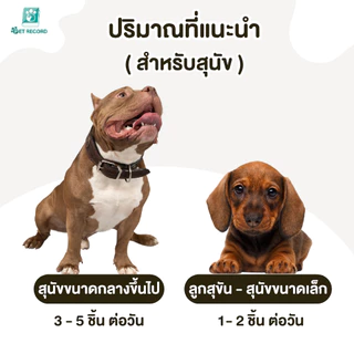 Pet Record สัตว์เลี้ยงสุนัขเคี้ยวขนมขบเคี้ยวสุนัขบดฟันการฝึกอบรมและรางวัลของเล่น