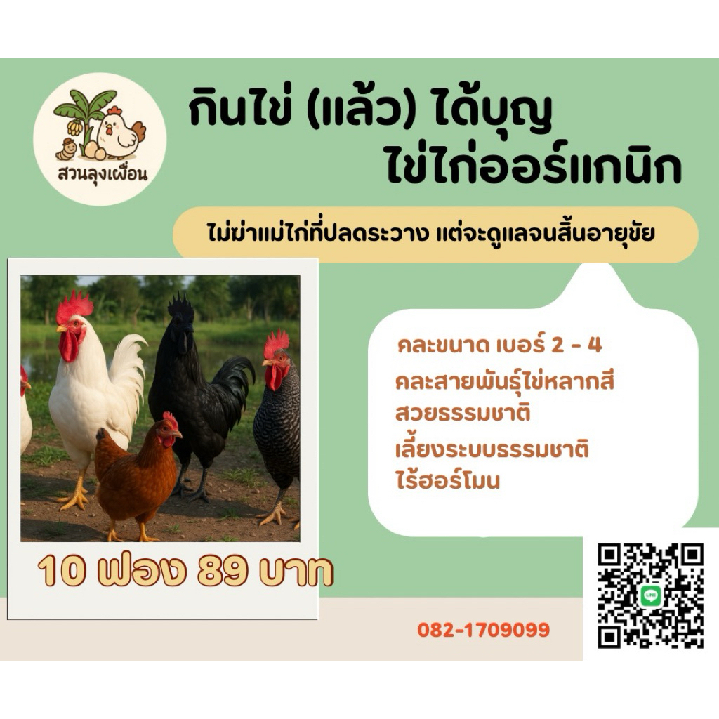 ไข่ไก่ออร์แกนิกคละสี 10 ฟอง – เลี้ยงแบบธรรมชาติ ปลอดฮอร์โมน ไม่ฆ่าแม่ไก่
