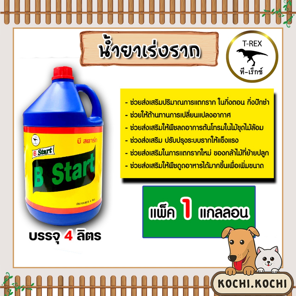 น้ำยาเร่งราก ทีเร็กซ์ บีวัน-สตาร์ท วิตามินบี-1 B1 ขนาด 4ลิตร 1 แกลลอน เร่งราก เรียกราก