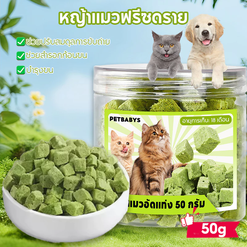 หญ้าแมวฟรีซดราย 50g ฟรีซดราย ขนมหญ้าแมว ขนมแมว ลดก้อนขน เม็ดหญ้าแมว ไม่ต้องปลูก ดีต่อสุขภาพ บำรุงขน