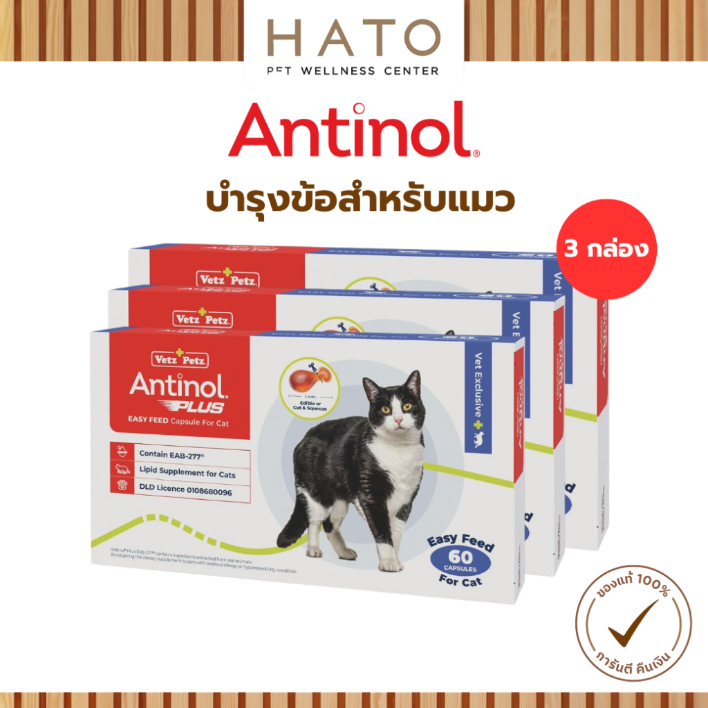 Antinol Cat แอนทินอล อาหารเสริมไขมัน บำรุงข้อ สำหรับแมว 3 กล่อง (180 เม็ด) Vetz Petz