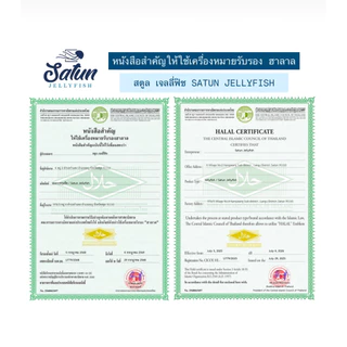 แมงกระพรุนล้างจืด หัวรวมขา 15 ถุง