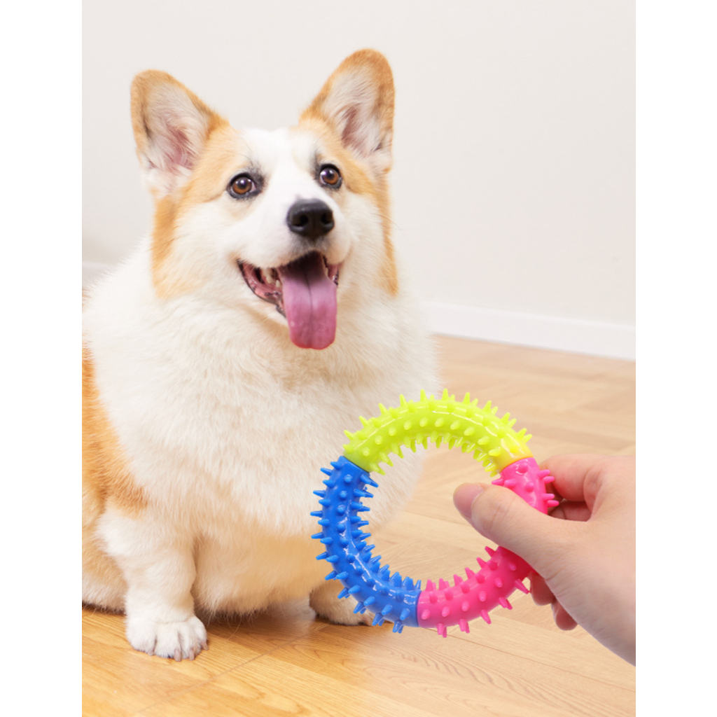 PP-205 ของเล่นสัตว์เลี้ยง ทรงกลมมีหนามนุ่ม สำหรับสุนัขและแมว ของเล่นยางกัดสุดเพลิดเพลิน ให้น้องหมา น