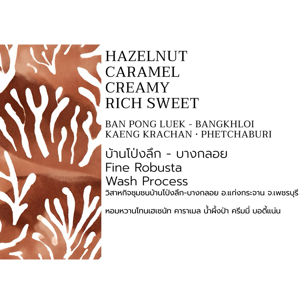 เมล็ดกาแฟ บ้านโป่งลึก-บางกลอย Fine Robusta • Wash Specialty