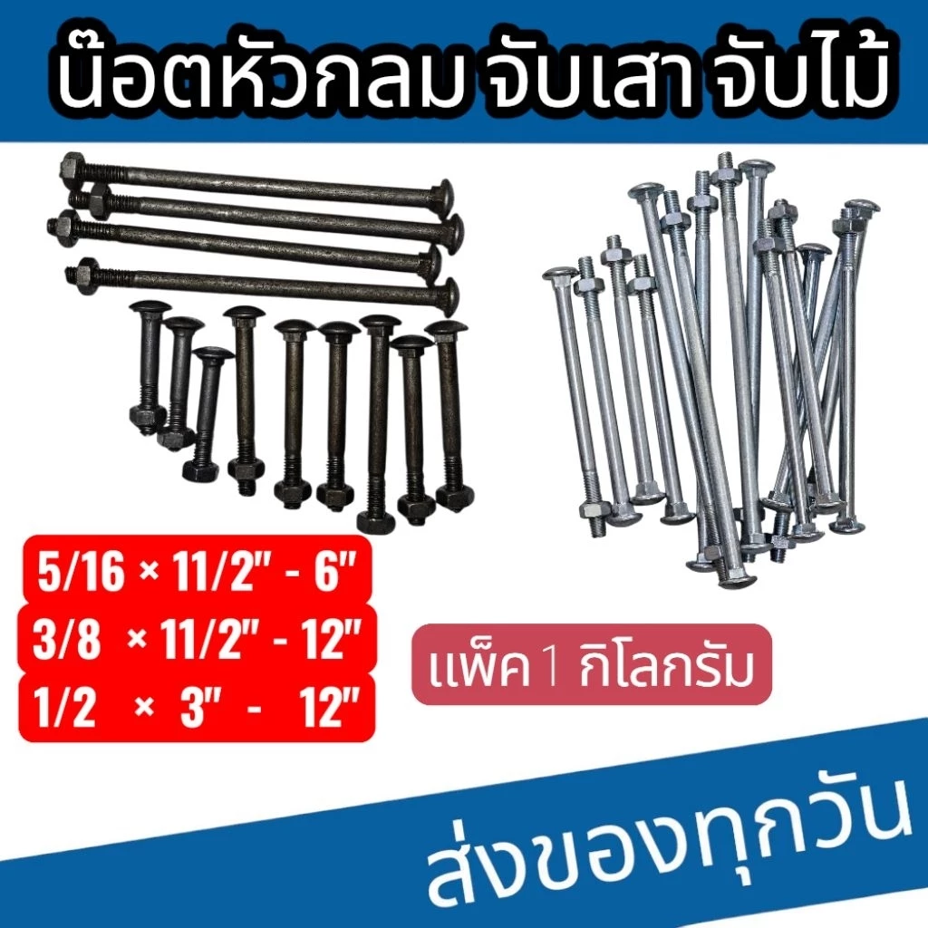 น็อตหัวกลม น็อตจับเสา น็อตจับไม้ 5/16 3/8 1/2 ยาว 2"-12"