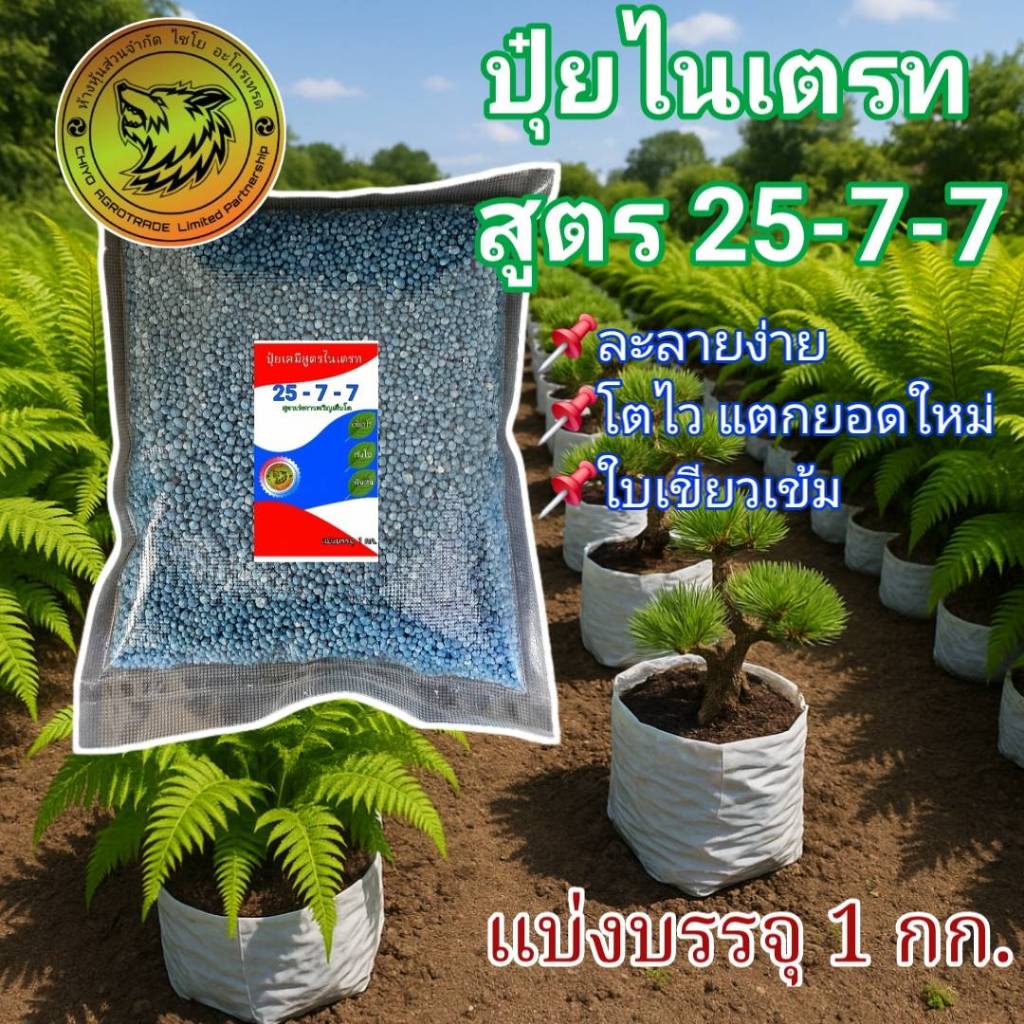 (แบ่งบรรจุ 1 กก.) ปุ๋ย สูตร 25-7-7 BLUE ไนเตรท เร่งการเจริญเติบโต เร่งต้น เร่งใบ เขียวไว ละลายดี