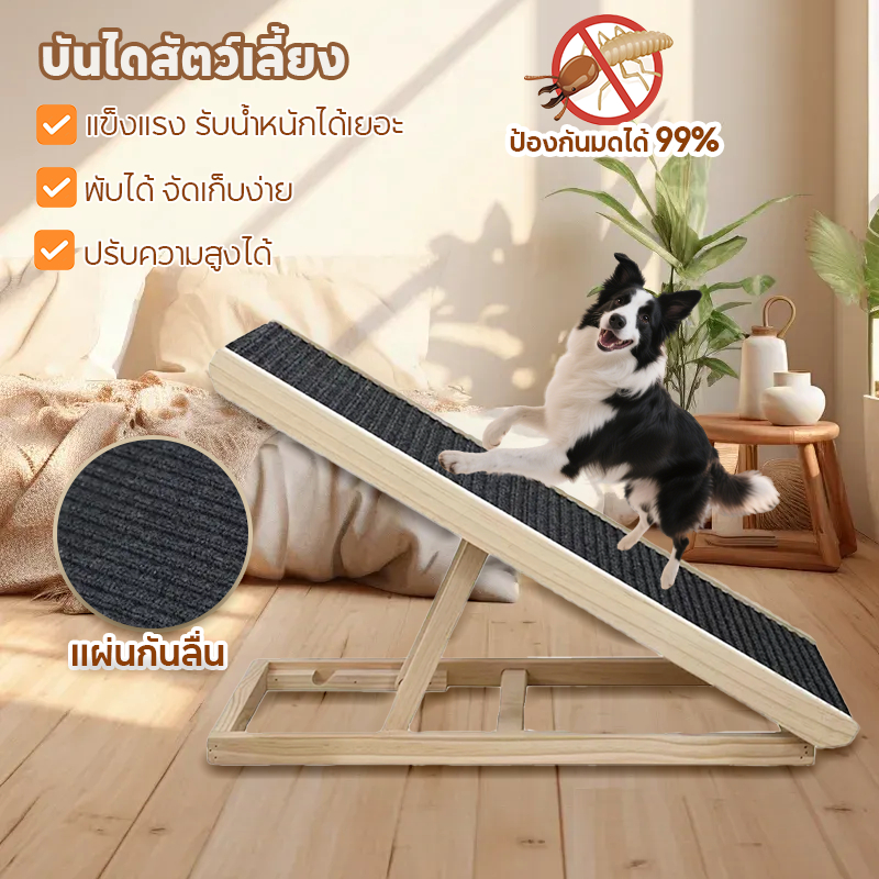 🐶บันไดสุนัข บันไดสัตว์เลี้ยง บันไดสุนัข พับได้ บันไดทางลาด รับน้ำหนักได้เยอะ  ปรับความสูงได้ M/L