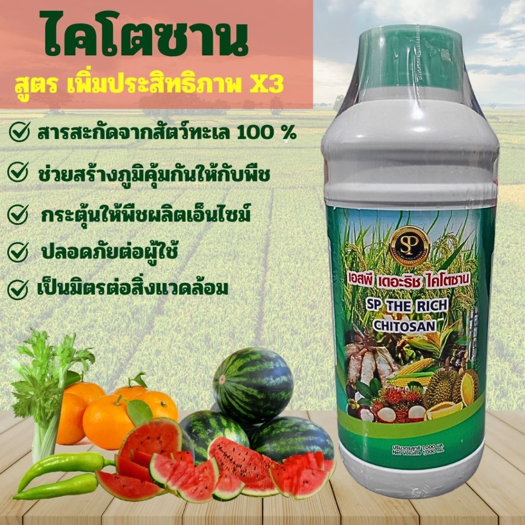 ไคโตซาน สูตรเพิ่มประสิทธิภาพ X3  เอสพี เดอะริช ไคโตซาน สารสกัดจากสัตว์ทะเล 100% ช่วยสร้างภูมิคุ้มกันให้กับพืช