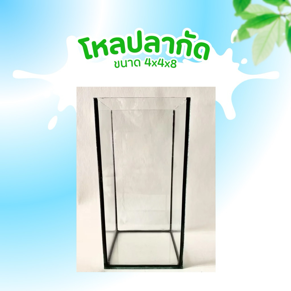 โหลปลากัด ขนาด 4x4x8