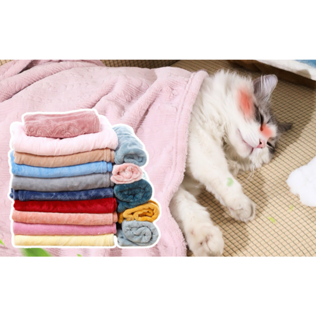 PP-314 ผ้าห่มกำมะหยี่สำหรับหมาและแมว ผ้าห่มสัตว์เลี้ยงเนื้อนุ่ม คุณภาพเยี่ยม มี 2 ขนาด สีสวยคละแบบ พร้อมส่งทันทีค่ะ💙