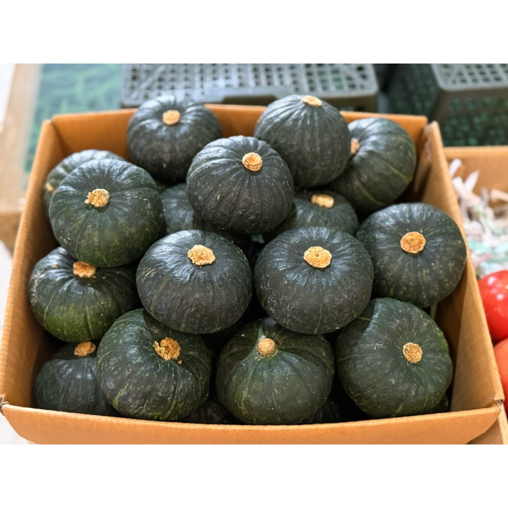 ฟักทองญี่ปุ่น (มินิบอล) 1 กก.