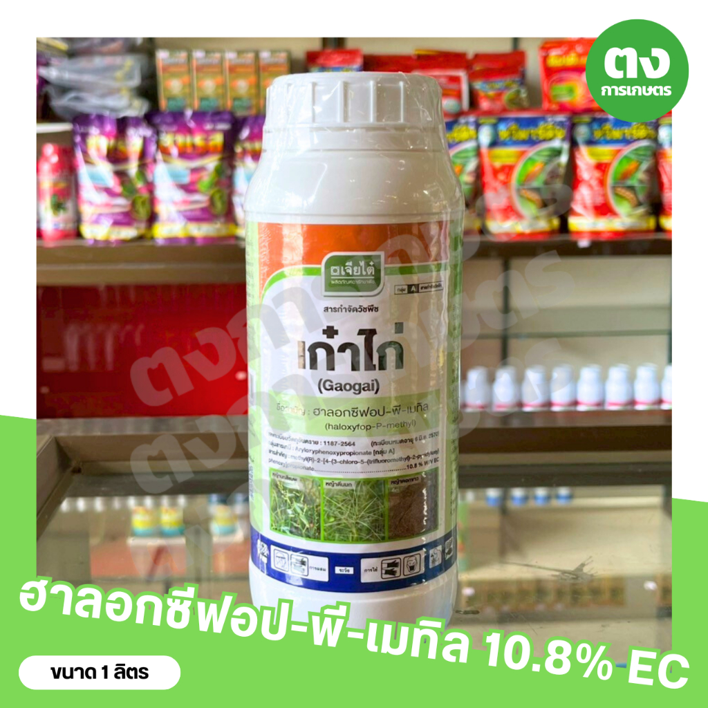 เก๋าไก่ เจียไต๋ สารฮาลอกซีฟอป-พี-เมทิล ขนาด 1 ลิตร สารกำจัดวัชพืช