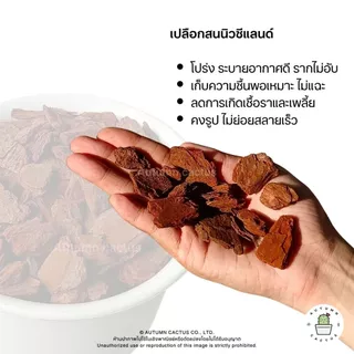 เปลือกสน นิวซีแลนด์ Kiwi Orchid Bark ( Pine Bark ) (( ยกกระสอบ 50 ลิตร ))