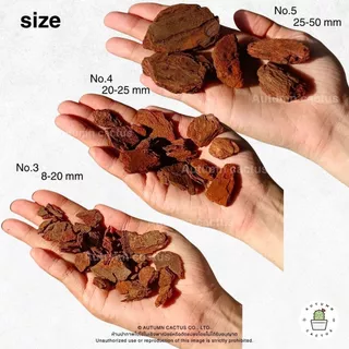 เปลือกสน นิวซีแลนด์ Kiwi Orchid Bark ( Pine Bark ) (( ยกกระสอบ 50 ลิตร ))