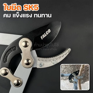 FALCO กรรไกรตัดกิ่งไม้สูง ตัดกิ่งไม้ใหญ่ ใบมีด SK5 เคลือบเทปล่อน ยืดหดได้ 5 ระดับ