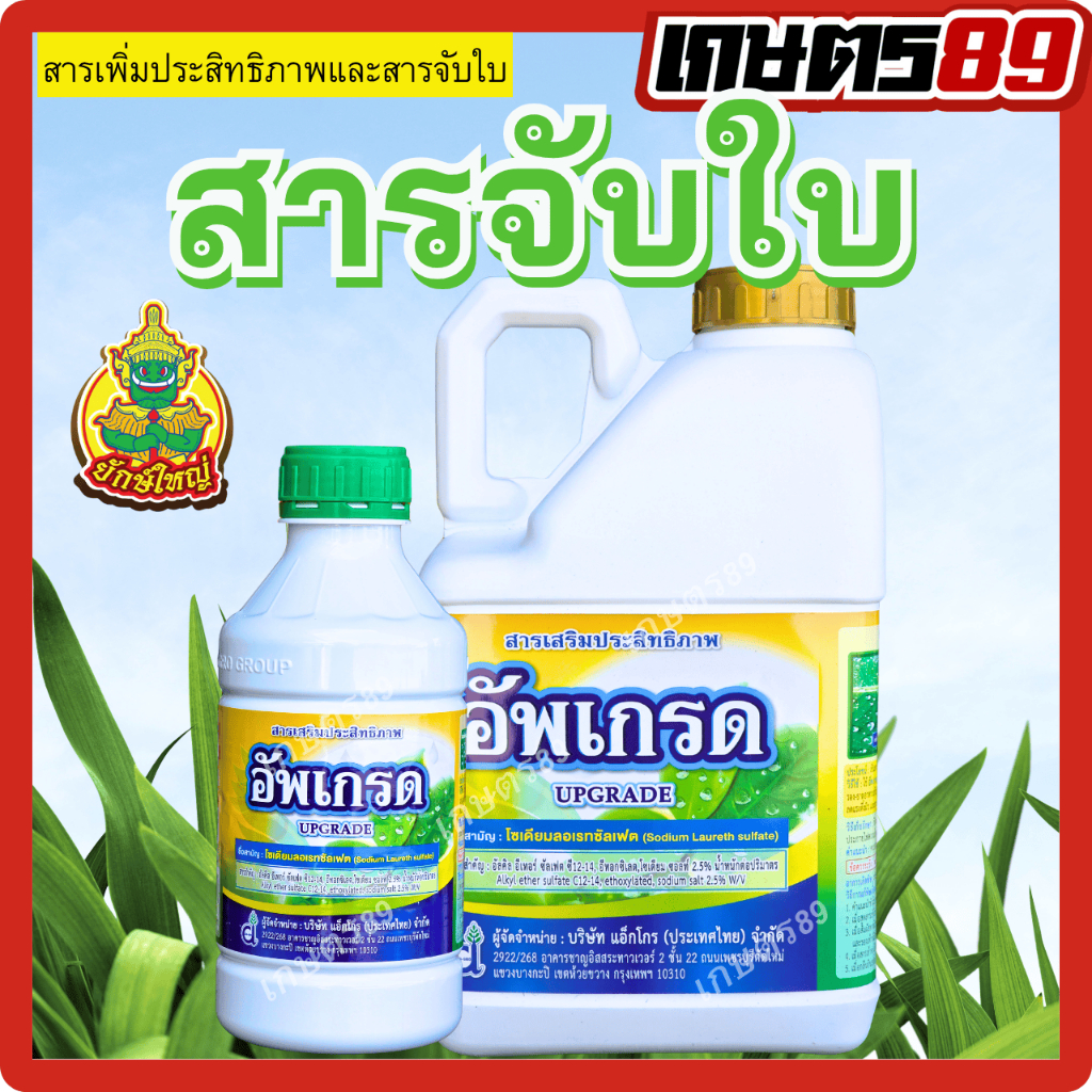 สารจับใบ อัพเกรดตรายักษ์ใหญ่ ยาจับใบ เพิ่มการยึดเกาะใบพืชให้ยาเกาะใบพืชได้นานขึ้น 1ลิตร และแกลลอน5ลิตร