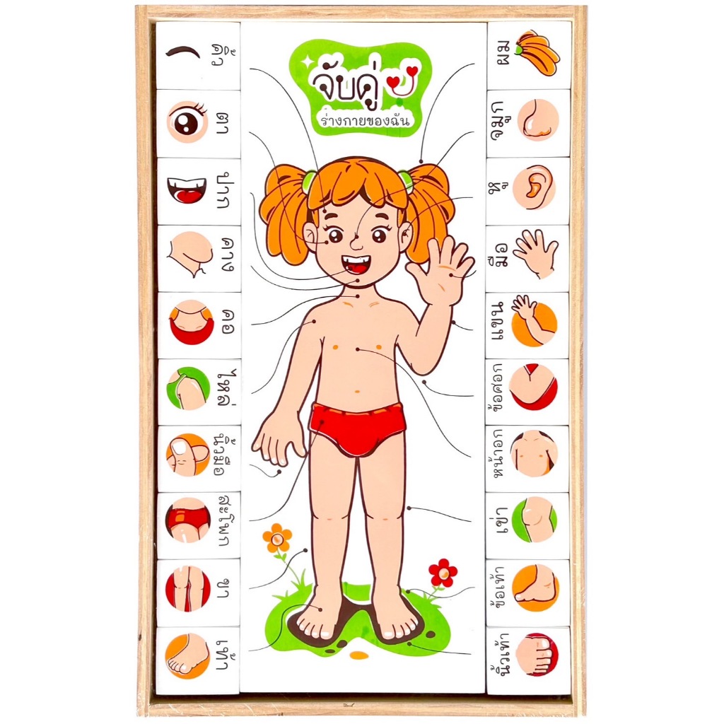 0658 จับคู่ร่างกายของฉัน (ภาษาไทย) หญิง จับคู่อวัยวะ , ของเล่นไม้, ของเล่นเสริมพัฒนาการ สินค้าผลิตในไทย มีมาตรฐานมอก.