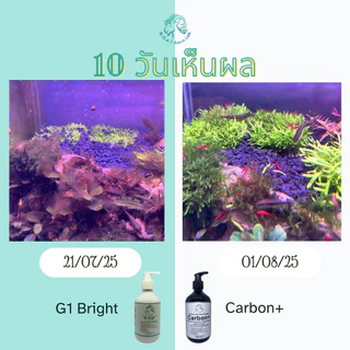 (ส่งด่วน) ปุ๋ยไม้น้ำ G1 สูตร K+ธาตุรอง สูตรสำหรับตู้ตั้งใหม่, ตู้พืชโตช้า เร่งราก ลดความเสี่ยงตะไคร่