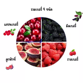 ขนมหนูแฮมสเตอร์ ชูก้าร์ไกรเดอร์ กระรอก ขนมสัตว์เล็ก เบอรี่อบ ผลไม้รวมสำหรับกระรอก
