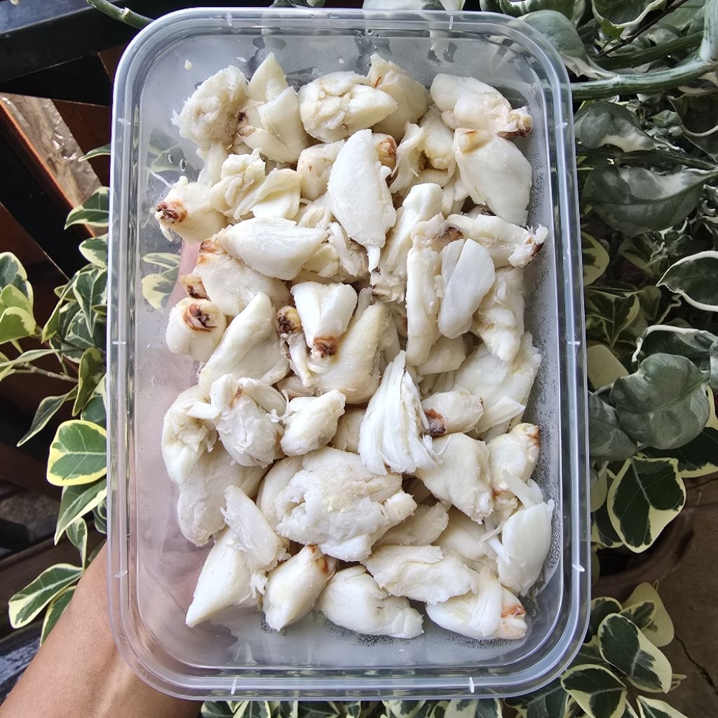 เนื้อปูม้า อกปูม้า ก้อนปูม้า นิ้วปูม้า ‼️ฟรีโฟม‼️