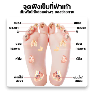 HOPTECH แผ่นนวดเท้า มีจุดสัมพัสแม่เหล็ก ช่วยให้ผ่อนคลาย เสริมนวดจุด ระบบไหลเวียนเลือดดี บริการส่งด่วน