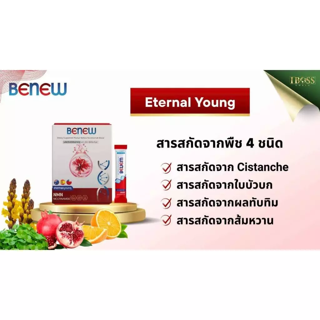 BeNew NMN Nicotinamide วิตามินต้านแก่ thumbnail 10