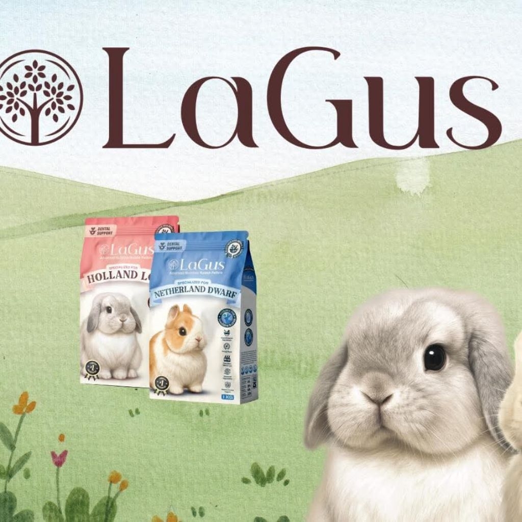 LAGUS อาหารกระต่าย พันธุ์  Hetherland dwarf (สีฟ้า) และ พันธุ์ Holland lop (สีชมพู)