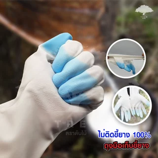 (พร้อมส่ง‼️) ถุงมือกรีดยาง pvc 10 คู่ ถุงมือเก็บขี้ยางไม่ติดมือ 100% อเนกประสงค์ ทน ใช้ซ้ำได้หลายรอบ