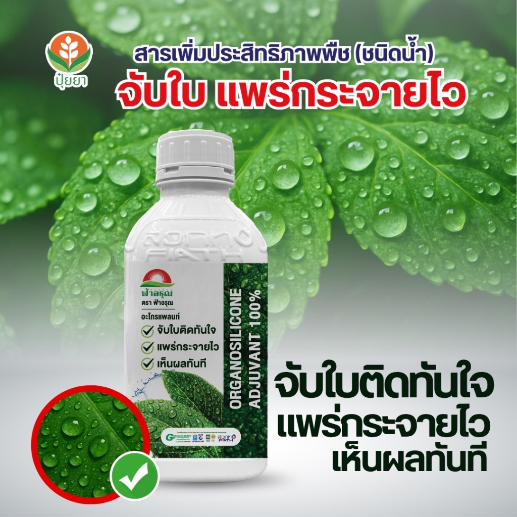 สารจับใบอะโกรแพลนท์ ดูดซึม แพร่กระจาย จับใบ สูตร Silicone Adjuvant สำหรับพืชทุกชนิด