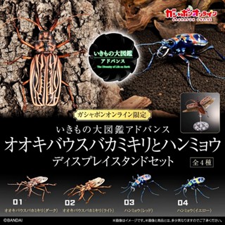 (มีของพร้อมส่ง) กาชาปองด้วงหนวดยาวใหญ่พิเศษ Gashapon Bandai …