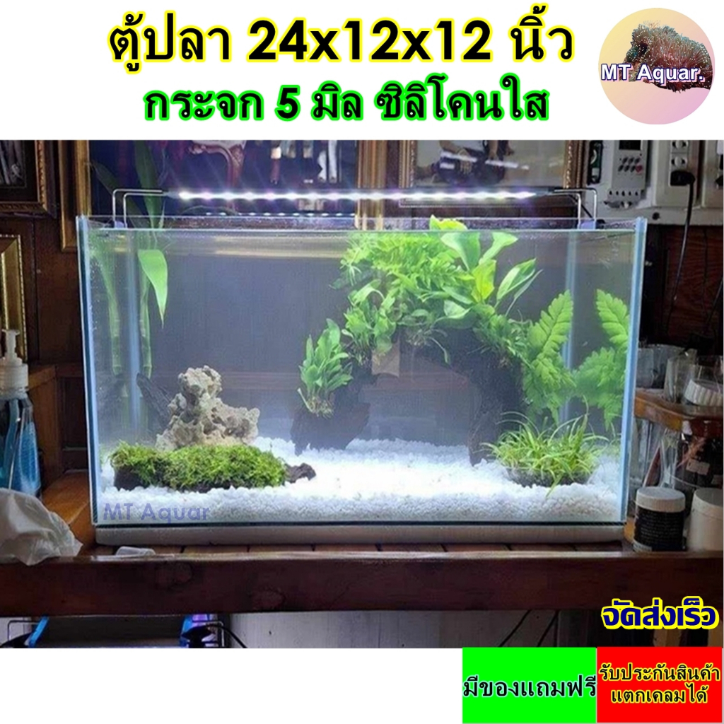 ตู้ปลา 24x12x12 นิ้ว กระจก 5 มิล ตู้โล่ง ซิลิโคนใส(เกรดสำหรับตู้ปลาโดยเฉพาะ) มีรับประกันสินค้า