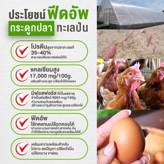 ปลาทะเลและกระดูกปลาป่น ฟีดอัพ สำหรับใช้เสริมอาหารสัตว์ 1 กิโลกรัม