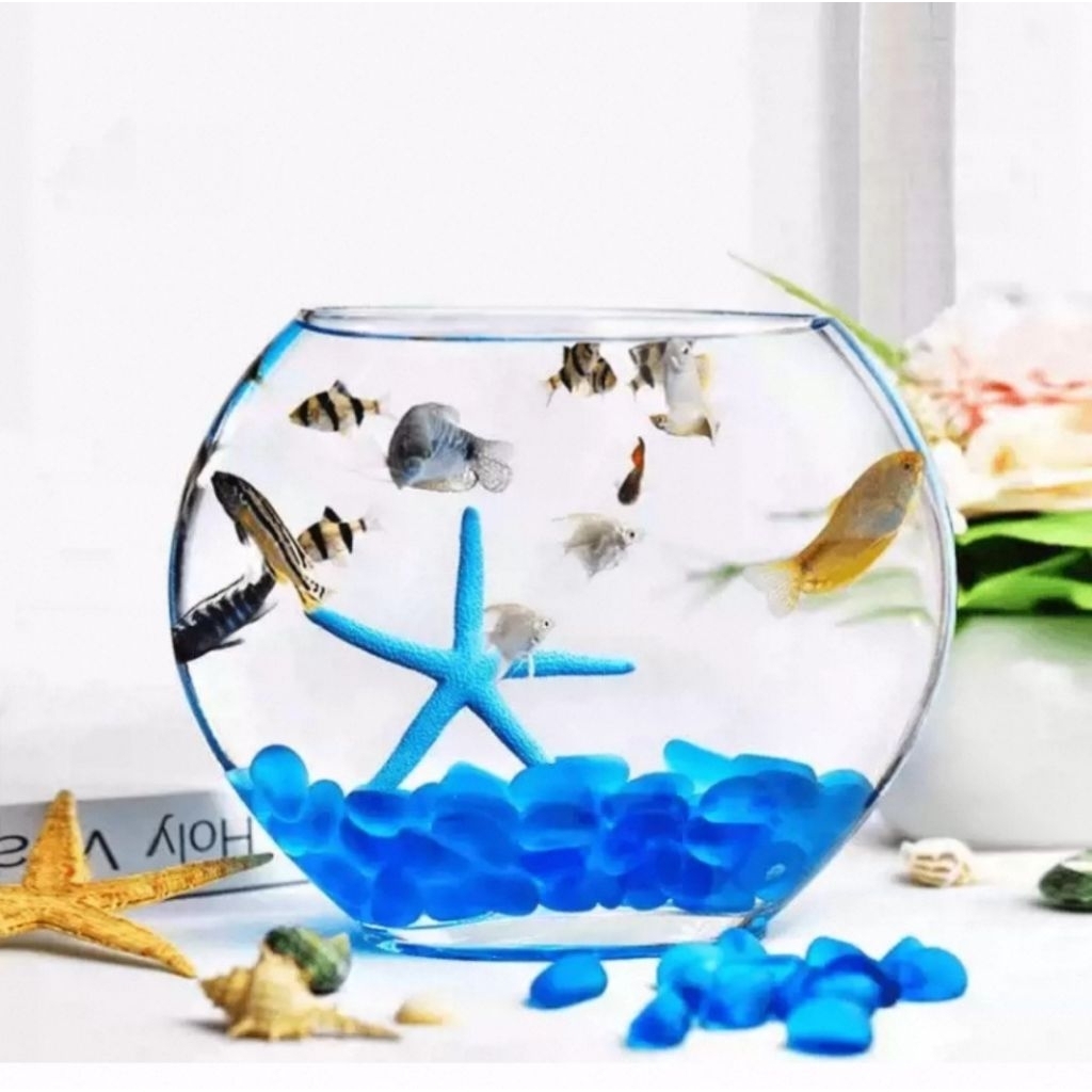 RTNS SHOP : โหลแก้วสำหรับเลี้ยงปลาสวยงาม ตู้ปลาทอง ตู้ปลาขนาดเล็ก มี 12 ขนาด ☆ - รูปที่ 7