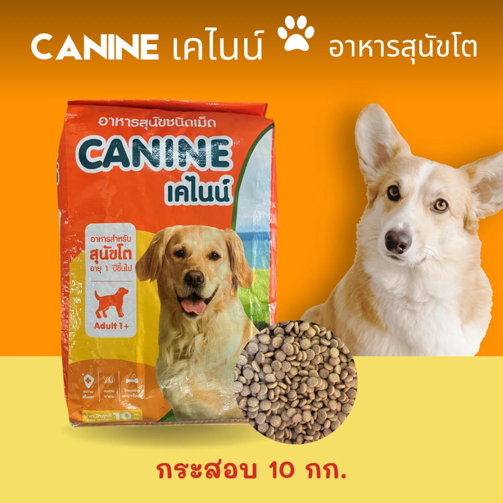 (กระสอบ 10 กก.) อาหารสุนัขเคไนน์ K-9 โปรตีน 22% อาหารสุนัขโต