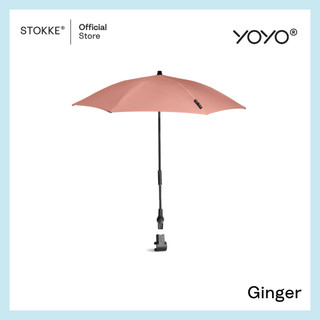 Ginger