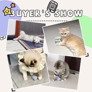 PetStern ของเล่นแมวแบบโต้ตอบ ลูกบอลแมวอัติโนมัติ หนู ของเล่นแมวอัจฉริยะ เรืองแสง Electric Cat Ball Toys พร้อมสายชาร์จ