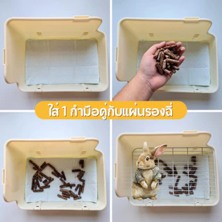 Brunchies ขี้เลื่อยอัดแท่งเม็ดใหญ่พิเศษ พรีเมียม ซึมซับดี ใช้ได้หลายวัน สำหรับกระต่าย แกสบี้