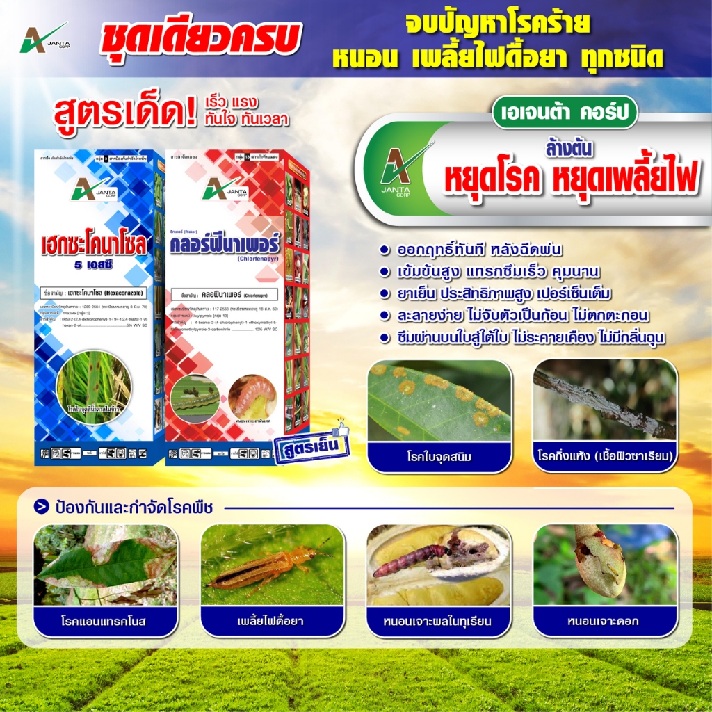 ชุดล้างต้น กำจัดเพลี้ยไฟ ราดำ ราแป้ง หนอนเจาะต้น หนอนเจาะดอก คลอร์ฟีนาเพอร์ เฮกซะโคนาโซล เอเจนต้า คอร์ป ชุดคู่ 1 ลิตร