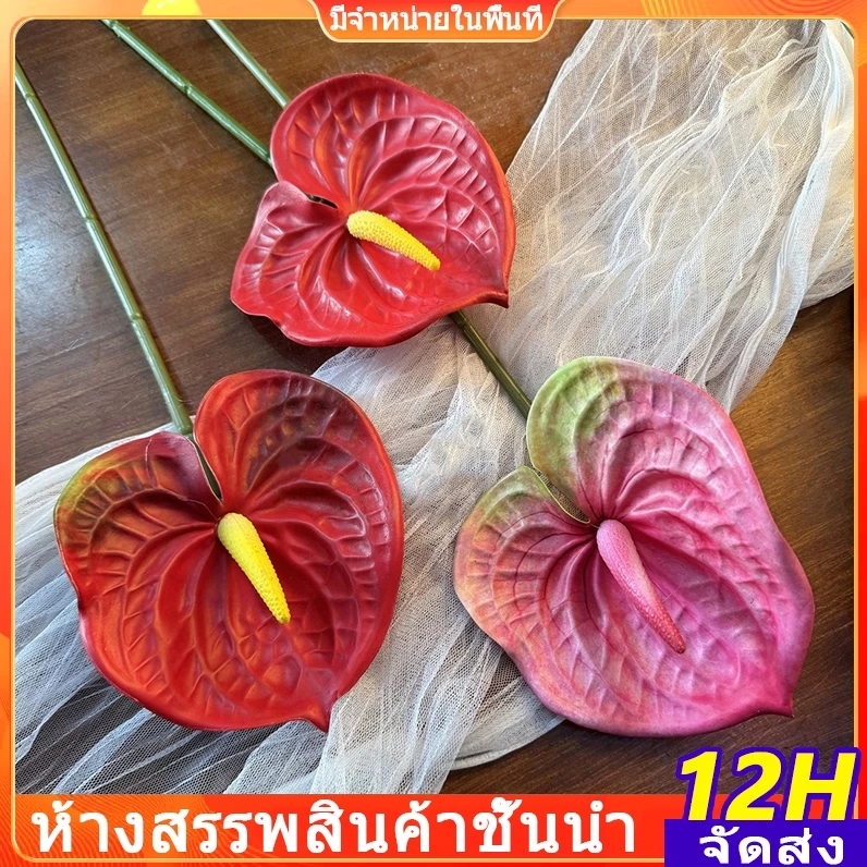 ดอกหน้าวัวค็อดจัมโบ้พรีเมี่ยมลาเท็กซ์หูช้าง 1 ดอก นำเข้า ของตกแต่งบ้านและห้องนั่งเล่น