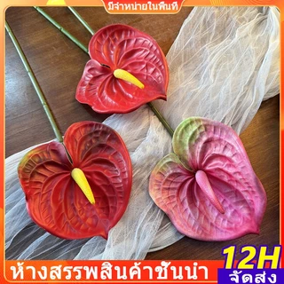 ดอกหน้าวัวค็อดจัมโบ้พรีเมี่ยมลาเท็กซ์หูช้าง 1 ดอก นำเข้า ของตกแต่งบ้านและห้องนั่งเล่น