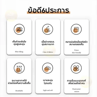 ผ้าปูที่นอนครบเซ็ต 6 ชิ้น พร้อมผ้านวม เซ็ต ผ้าปูที่นอน สัมผัสนุ่ม ทำจากผ้าไมโครฟิลด์ 100% แมชได้หลายโทนห้อง