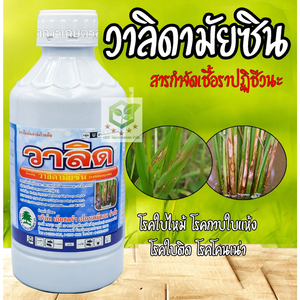 โจมัยซิน วาลิดามัยซิน ขนาด 1 ลิตร วาลิด โรคกาบใบแห้ง  โรคใบติด ยาป้องกันและกำจัดเชื้อรา วาลิดา