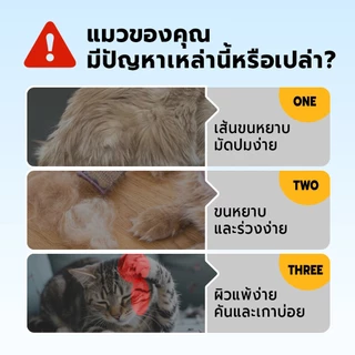 Bite Of Wild แซลมอน อาหารแมว 500g. Grain free โปรตีนสัตว์ 90% น้ำมันแซลมอน บำรุงขนและผิวหนัง