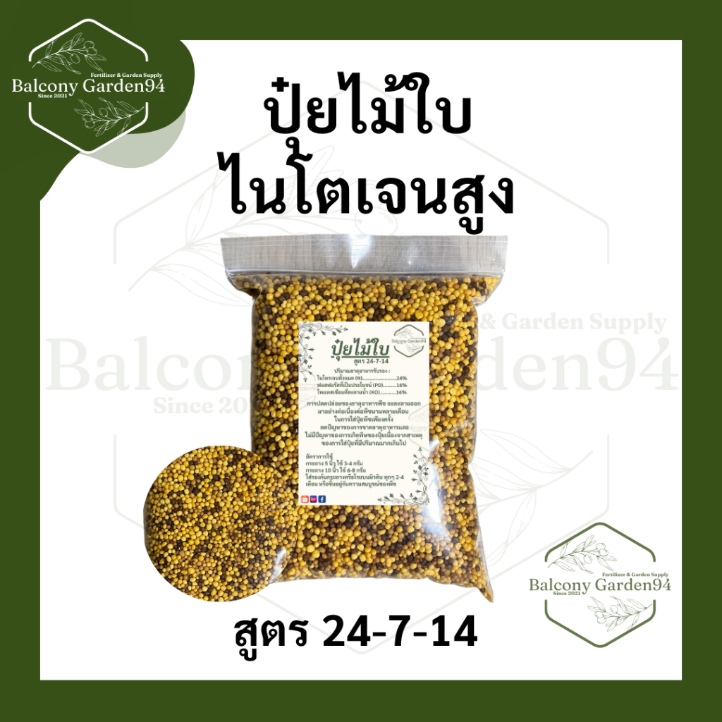 ปุ๋ยไม้ใบ สูตร 24-7-14 ไนโตเจนสูง ไทรเกาหลี กวักมรกต มอนสเตล่า ไทรใบสัก กระดุมใบเงิน สนามหญ้า สูตร 4 เดือน