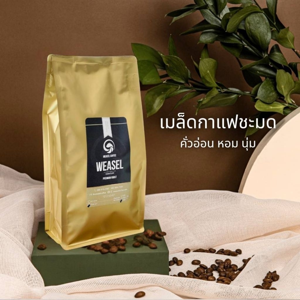 เมล็ดกาแฟชะมด พรีเมี่ยม แท้ 100% หอม นุ่ม