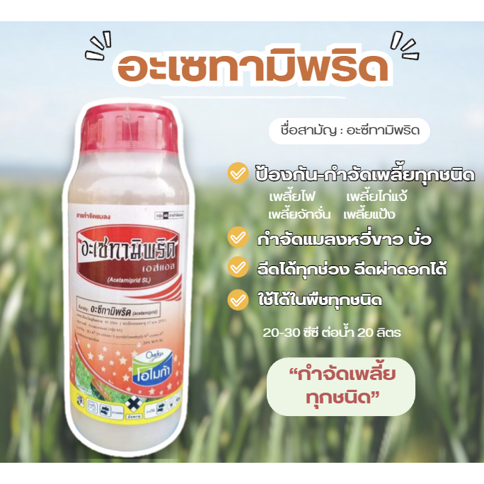อะเซทามิพริด อะซีทามิพริด ป้องกันและกำจัดเพลี้ยทุกชนิด